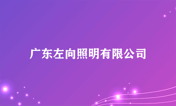 什么是广东左向照明有限公司