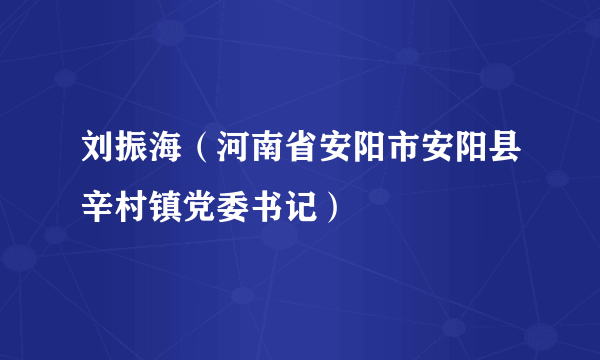 什么是刘振海（河南省安阳市安阳县辛村镇党委书记）