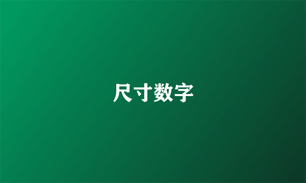 尺寸数字