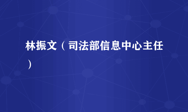 林振文（司法部信息中心主任）