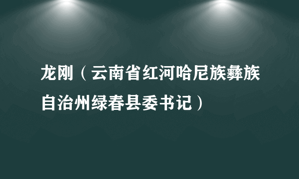 龙刚（云南省红河哈尼族彝族自治州绿春县委书记）