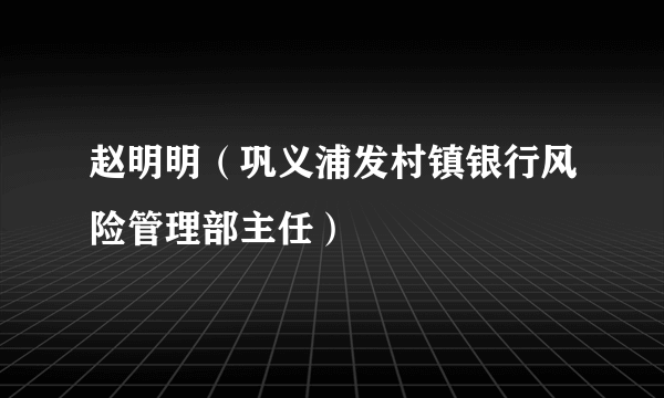 赵明明（巩义浦发村镇银行风险管理部主任）