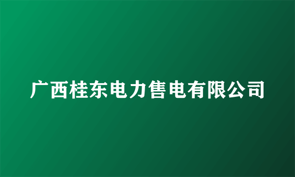 广西桂东电力售电有限公司