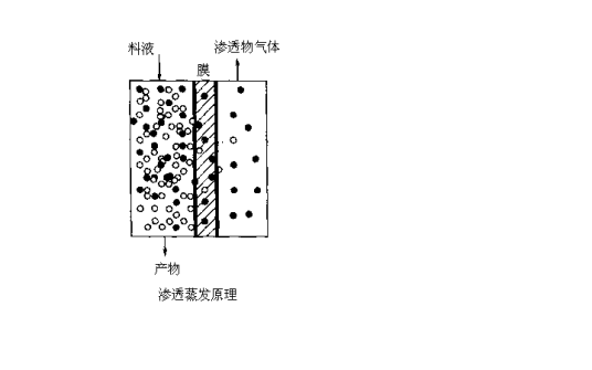 渗透蒸发