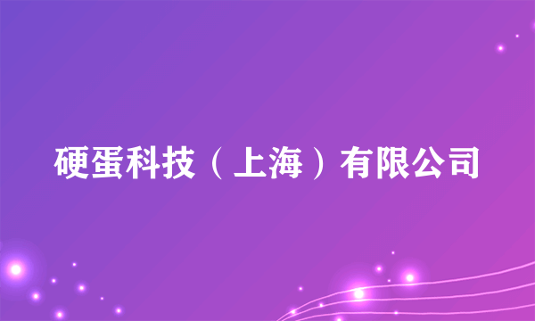 什么是硬蛋科技（上海）有限公司