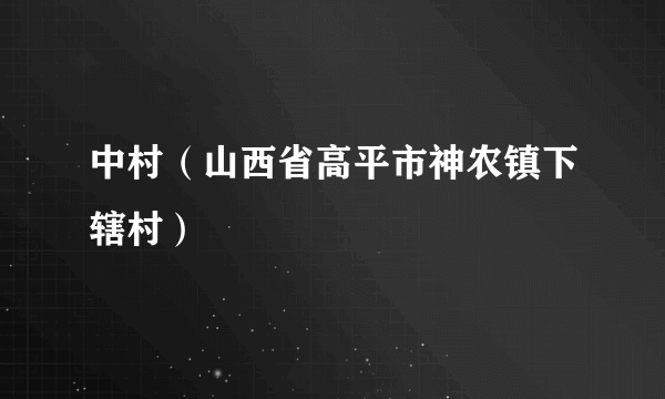 中村（山西省高平市神农镇下辖村）