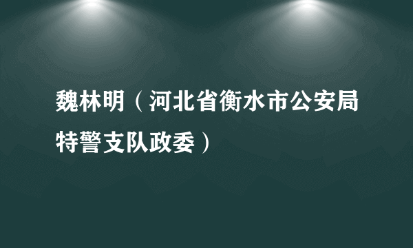 什么是魏林明（河北省衡水市公安局特警支队政委）