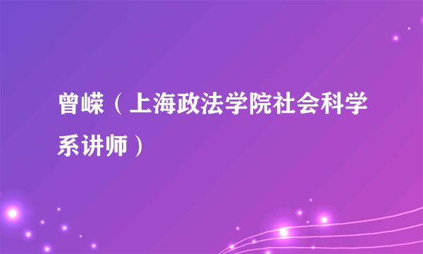 曾嵘（上海政法学院社会科学系讲师）