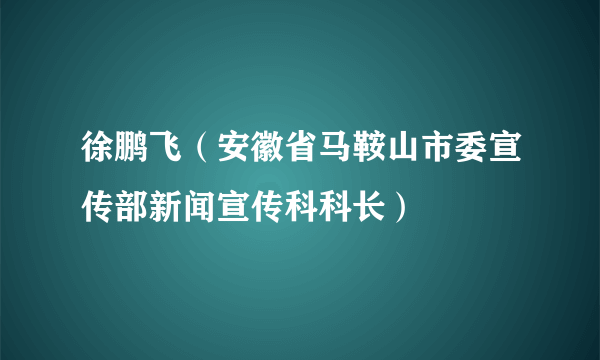 徐鹏飞（安徽省马鞍山市委宣传部新闻宣传科科长）