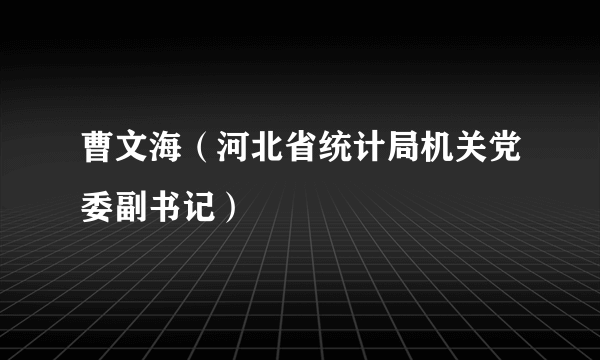 曹文海（河北省统计局机关党委副书记）