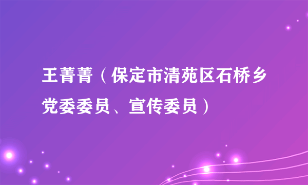 王菁菁（保定市清苑区石桥乡党委委员、宣传委员）