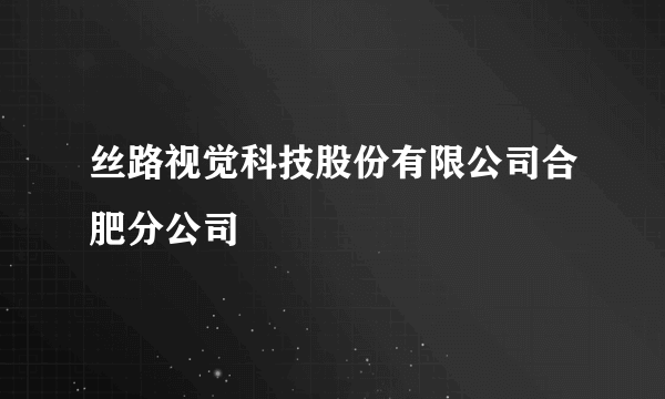 丝路视觉科技股份有限公司合肥分公司