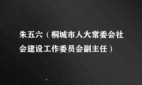 朱五六（桐城市人大常委会社会建设工作委员会副主任）