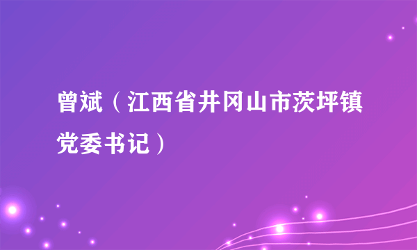 曾斌（江西省井冈山市茨坪镇党委书记）