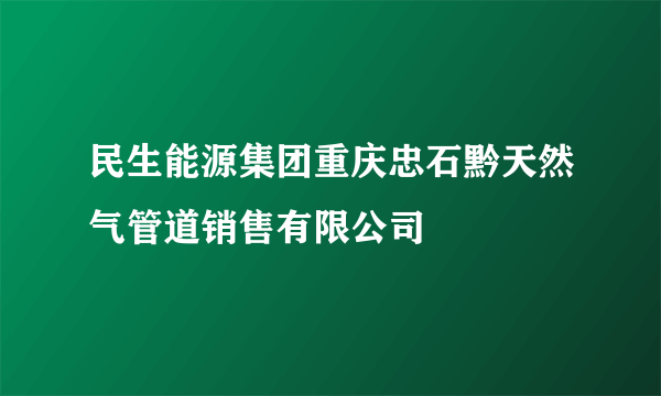 什么是民生能源集团重庆忠石黔天然气管道销售有限公司