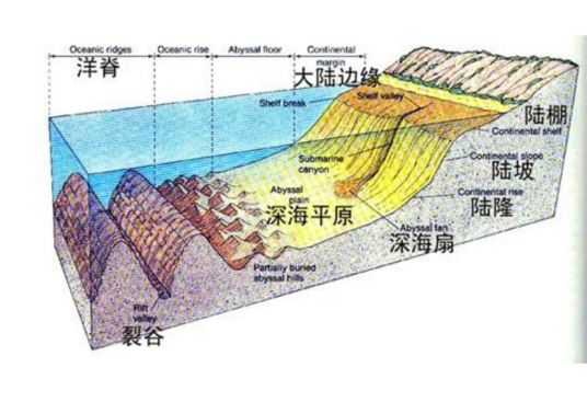 大陆棚