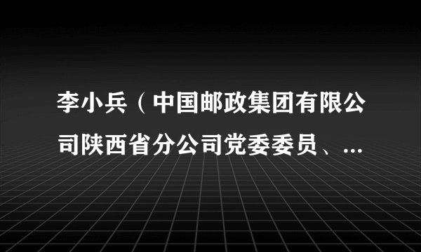 李小兵（中国邮政集团有限公司陕西省分公司党委委员、纪委书记）