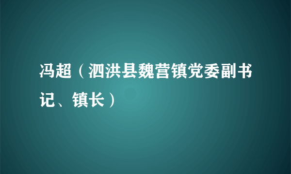 冯超（泗洪县魏营镇党委副书记、镇长）