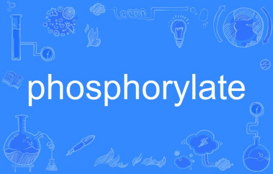 什么是phosphorylate