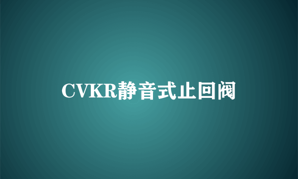 CVKR静音式止回阀