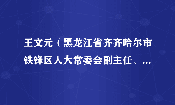 王文元（黑龙江省齐齐哈尔市铁锋区人大常委会副主任、工商联主席）