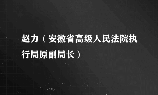 赵力（安徽省高级人民法院执行局原副局长）