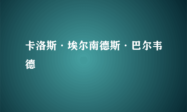 什么是卡洛斯·埃尔南德斯·巴尔韦德