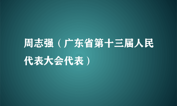 周志强（广东省第十三届人民代表大会代表）