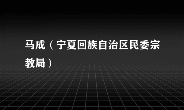 马成（宁夏回族自治区民委宗教局）