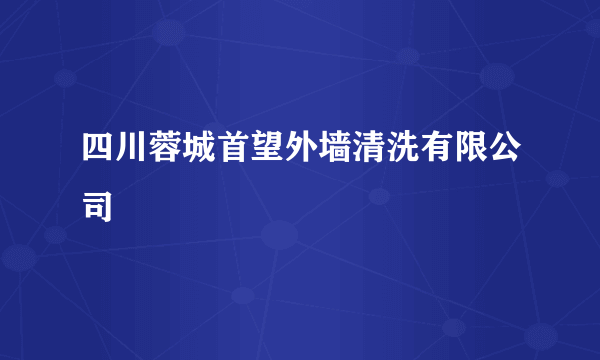 四川蓉城首望外墙清洗有限公司