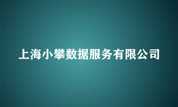 上海小攀数据服务有限公司