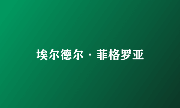 什么是埃尔德尔·菲格罗亚