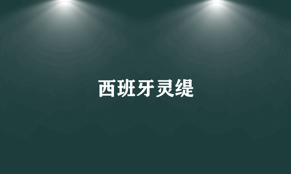 什么是西班牙灵缇