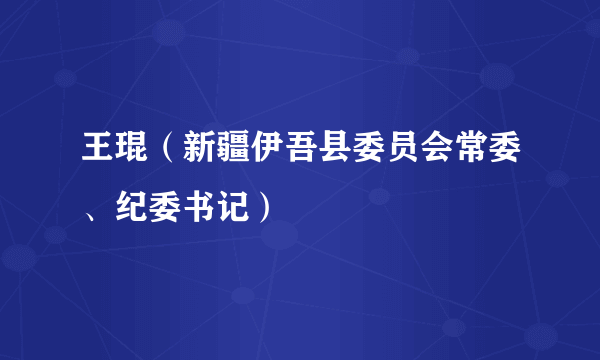 王琨（新疆伊吾县委员会常委、纪委书记）