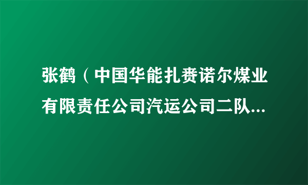 张鹤（中国华能扎赉诺尔煤业有限责任公司汽运公司二队党支部书记兼队长）