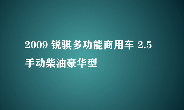 什么是2009 锐骐多功能商用车 2.5 手动柴油豪华型