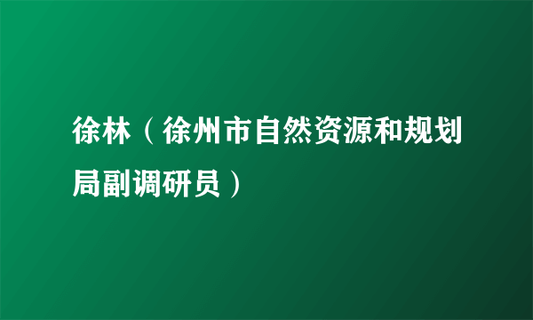 徐林（徐州市自然资源和规划局副调研员）