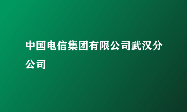 中国电信集团有限公司武汉分公司