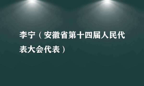 什么是李宁（安徽省第十四届人民代表大会代表）