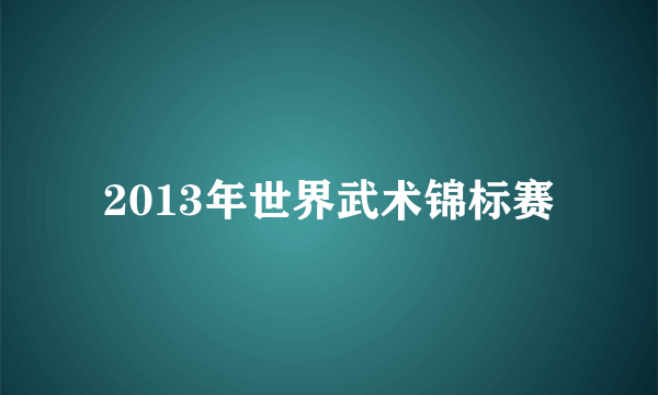 2013年世界武术锦标赛