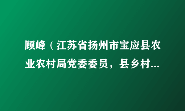 顾峰（江苏省扬州市宝应县农业农村局党委委员，县乡村振兴局副局长）