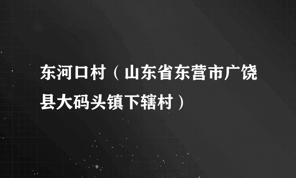 东河口村（山东省东营市广饶县大码头镇下辖村）