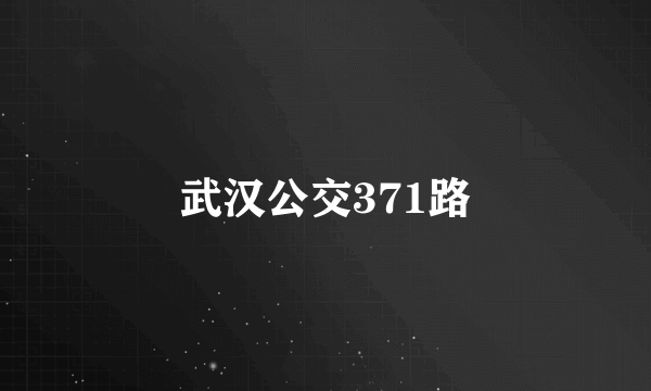 武汉公交371路