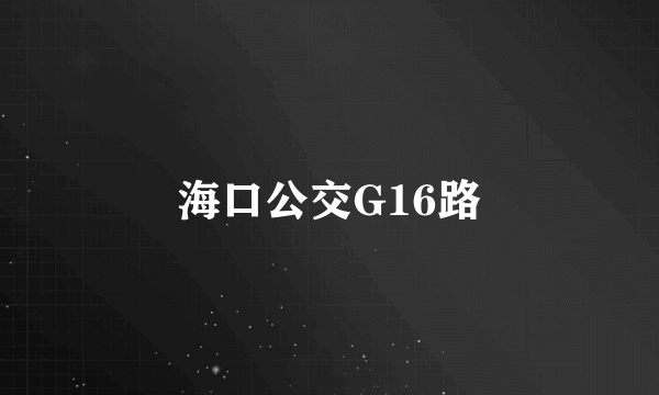 海口公交G16路