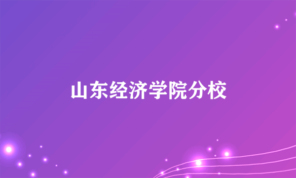 山东经济学院分校