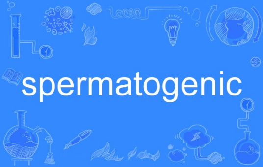 spermatogenic