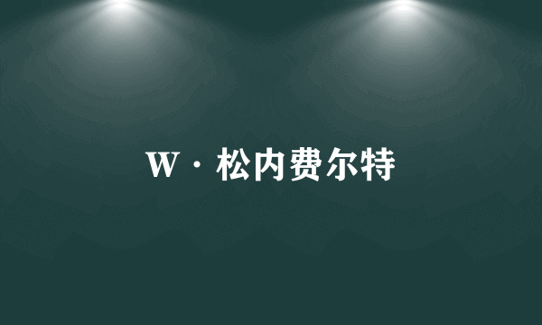 什么是W·松内费尔特