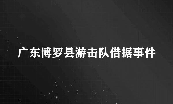 什么是广东博罗县游击队借据事件