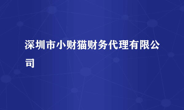 深圳市小财猫财务代理有限公司