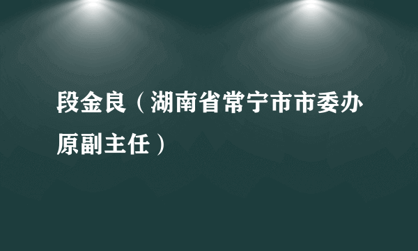 段金良（湖南省常宁市市委办原副主任）